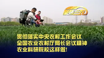 聚焦三农丨贯彻落实中央农村工作会议、全国农业农村厅局长会议精神  农业科研院校这样做！