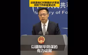美国FBI前翻译涉疆采访视频曝光 赵立坚：对新疆步步紧逼招招下作的呈堂证供