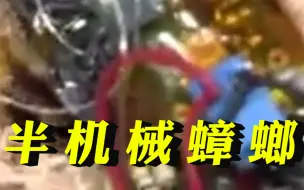 日本科学家造出遥控半机械蟑螂