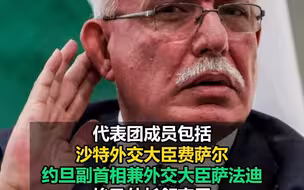 阿拉伯、伊斯兰国家外长联合代表团将访华