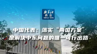 中国代表：落实“两国方案”是解决中东问题的唯一可行出路
