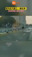 北海街头惊现飞奔鸵鸟 两只大长腿，一路狂奔。网友：就在电视上见过，没想过会怎么大。