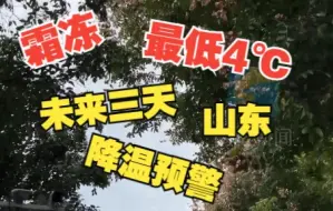 霜冻+最低温4℃！山东未来三天以多云间晴天气为主 气温略有下降