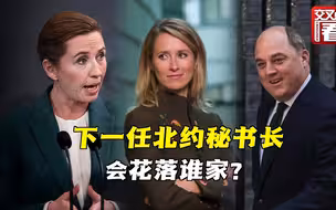 下任北约秘书长候选人都有谁？为何她赢面最大？