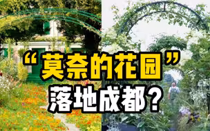 成都版“莫奈的花园”火了，走进海妈的花花世界
