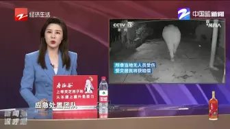 亚洲野象进入昆明境内  象群出没周边30公里交通管制