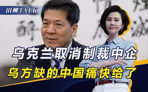 乌方取消制裁中企，想让中方推动和谈？中俄欧会晤后，答案才揭晓