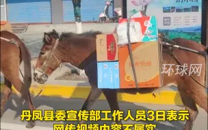 政府回应因限行马匹运送抗疫物资：不属实，是马帮自发捐赠物资