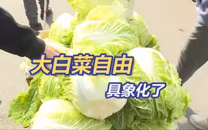 深秋名场面，感受一下东北人的囤菜震撼