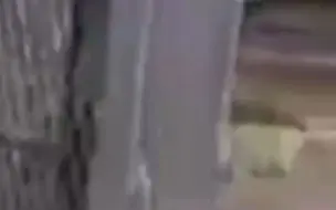 美流浪非裔妇女 在寒风中被泼冷水