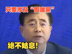 中国足协主席：无论是球员还是俱乐部，只要涉及“假赌黑”，将依法依规严肃查处