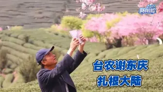 台农谢东庆扎根大陆：从开山种茶到发展旅游观光农业