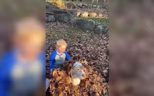 狗子，你辛苦了