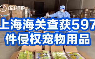 上海海关查获597件侵权宠物用品