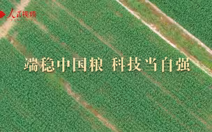 端稳中国粮 科技当自强