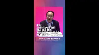 毛羽：正视制约电影业的难点、痛点、堵点