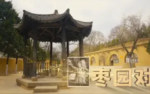 “党史六对”启示录丨第三集：枣园对