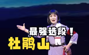 现代京剧《杜鹃山》选段 王树梅饰柯湘