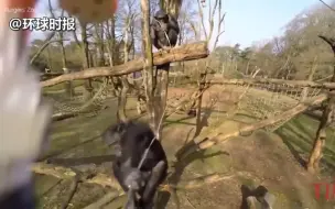 世界各地最惨烈的坠（无人）机事件集锦