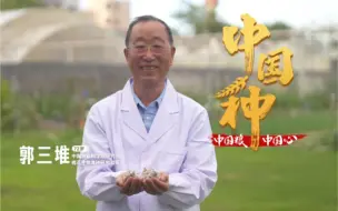 72岁棉花生物育种专家郭三堆：棉花是最美的那朵花！