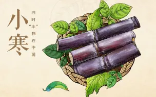 【四时“丰”物在中国】小寒——甘蔗甜如蜜