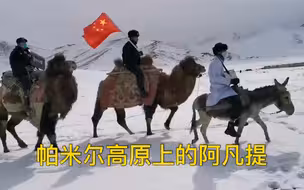 我有一头小毛驴 我用来送物资