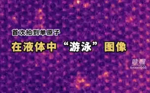 前所未有。英国科学家首次拍摄到单原子“游泳”的图像