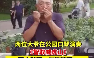 厉害！两位大爷在公园口琴演奏《智取威虎山》，配合默契，气势磅礴！网友：吹出了乐团的感觉！