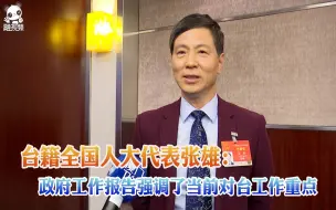 台籍全国人大代表张雄：政府工作报告强调了当前对台工作重点