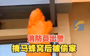 消防员出警摘马蜂窝后被偷家 无奈在消防站又出一次警