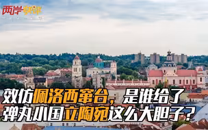 效仿佩洛西窜台，是谁给了弹丸小国立陶宛这么大胆子？