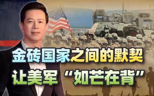 金砖国家的默契，让美军只能“背水一战”，胡塞武装收到天大喜讯