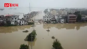 江西永修汛情：再访溃堤后的三角乡 前日撤离的商铺已淹过一楼