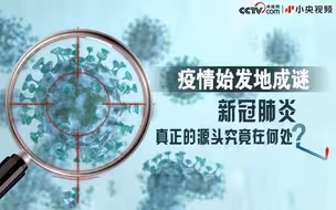 疫情始发地成谜 新冠肺炎真正的源头究竟在何处？