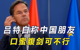 荷兰放话可瘫痪台积电，联合美军在南海军演，首相曾称是中国朋友