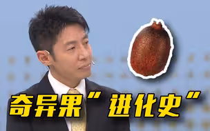 新西兰奇异果“根”在中国