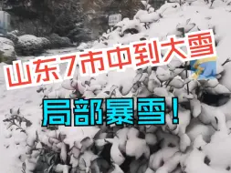 山东7市中到大雪，局部暴雪。