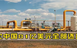 公开力挺中国！81亿美元欠款还清，大量天然气输向我国，西方酸了