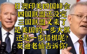 四国联盟峰会了为啥还搞三国？莫迪老仙告诉我们答案