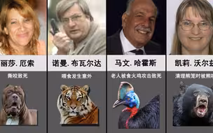 盘点杀害主人的宠物