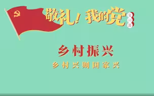 《敬礼！我的党》第九十九集：乡村振兴
