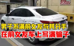 男子分手后在前女友车上写满骗子，警方：寻衅滋事，行拘