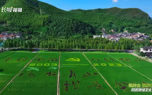 对话“地球卫士”：这片山 那片林