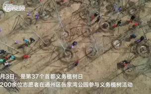 航拍！通州张家湾2200余人义务植树