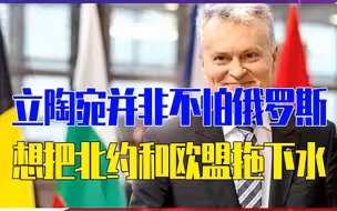 封锁加里宁格勒，立陶宛并非不怕俄罗斯，想把北约和欧盟拖下水