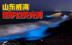 山东威海现梦幻荧光海，市民：住了多年没见过，很像电影场景