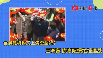 蓝绿冲突！台民意机构又上演全武行， 王鸿薇陈亭妃爆拉扯混战