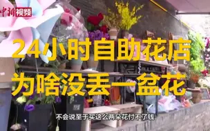 南宁一24小时自助花店 近两年没丢一盆花