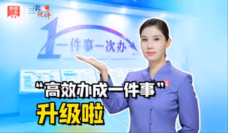 三农锐评丨13+8！“高效办成一件事”升级啦