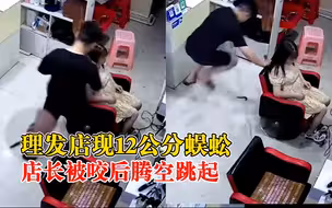 大蜈蚣溜进理发店店主被咬吓得跳起：12厘米长，后续消毒并无大碍